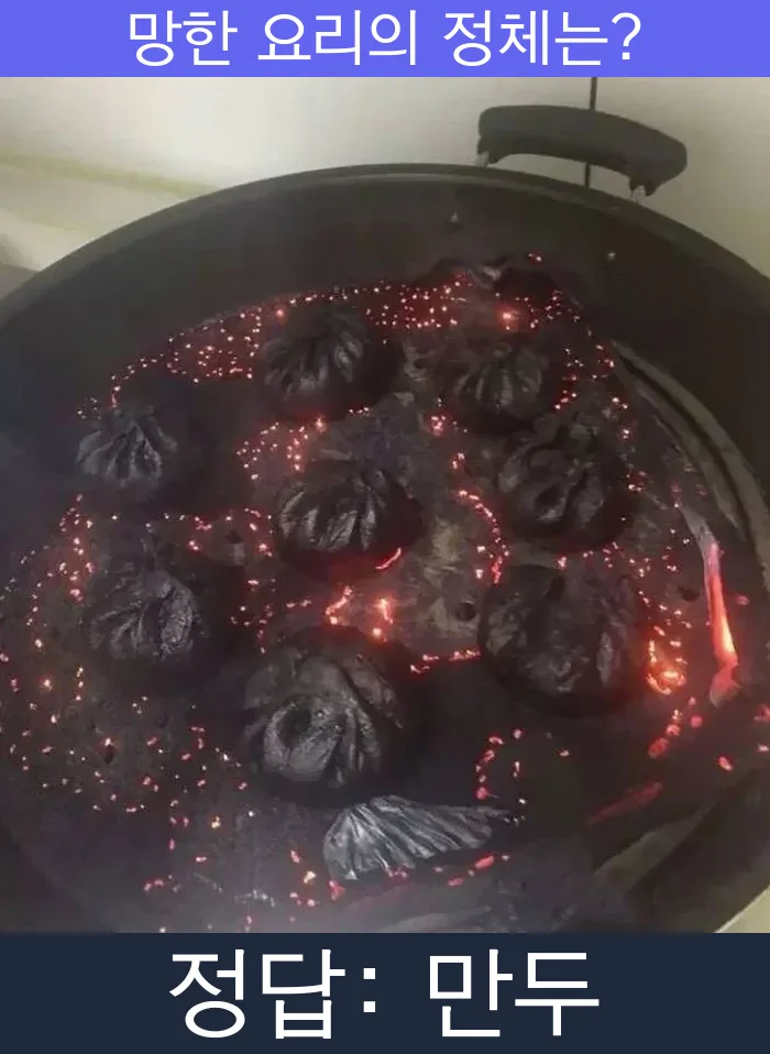 만두 망한요리 망한음식 실패요리 음식 요리