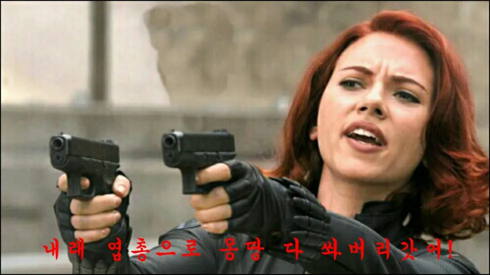 짜증 총 분노