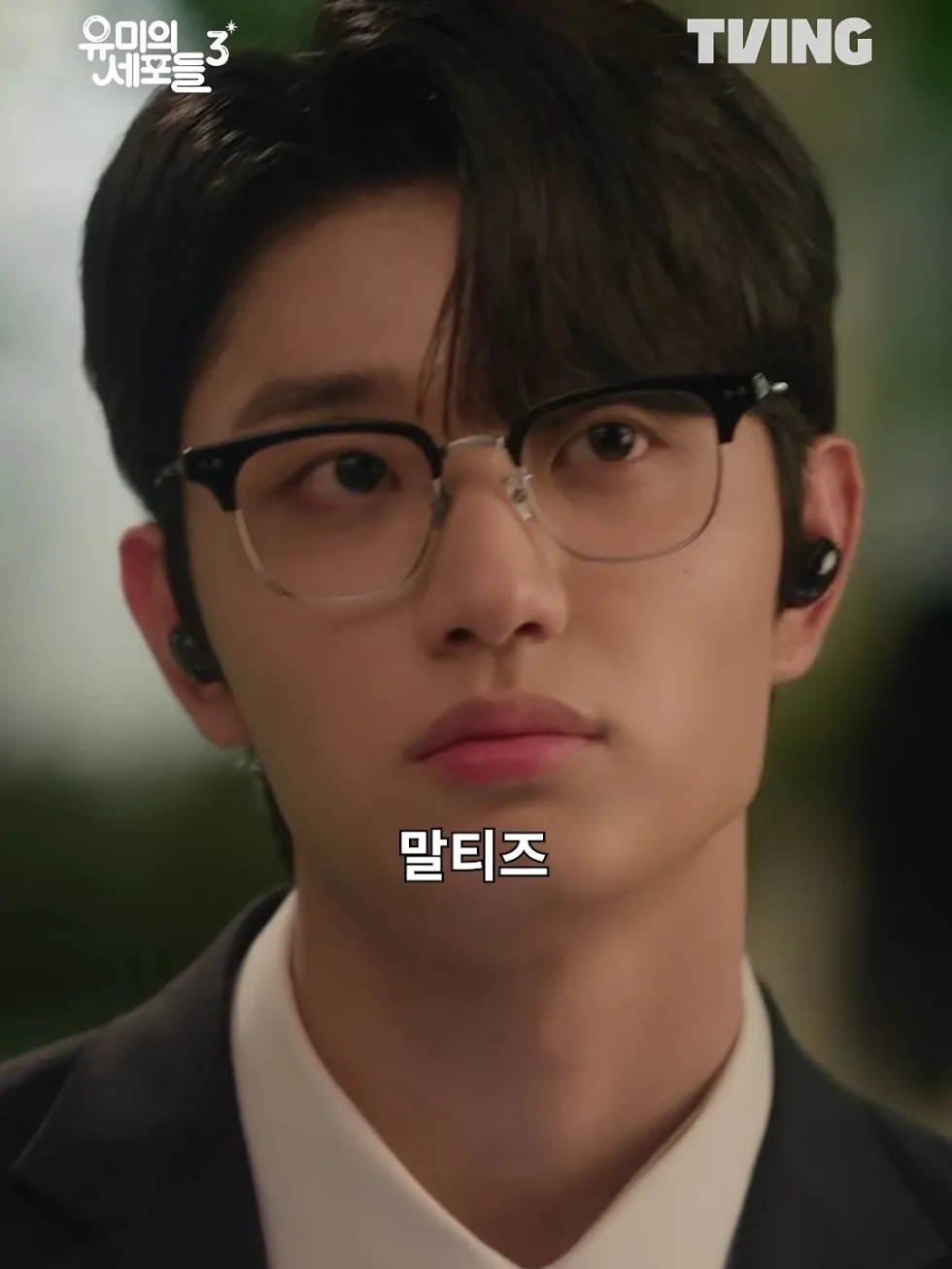 억울함이 가득한 말티즈 눈빛