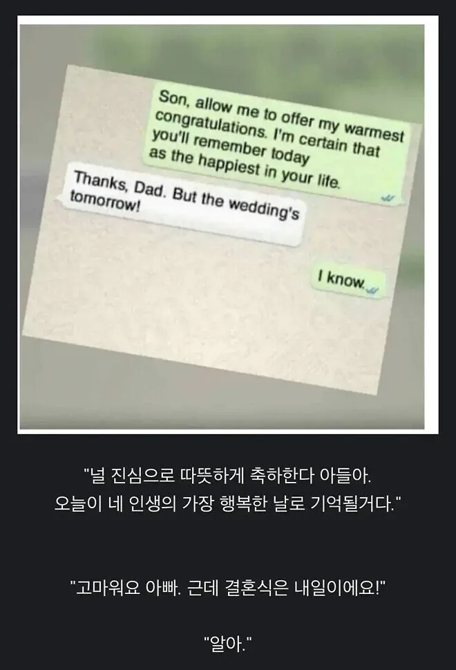 결혼 전날 아빠 조언 유부남 현실 팩폭 아들 문자 유머