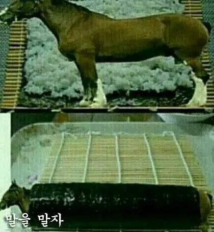 말을말자 답이없음 말을 말자