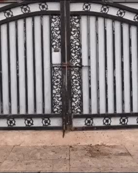 멍짤 산책