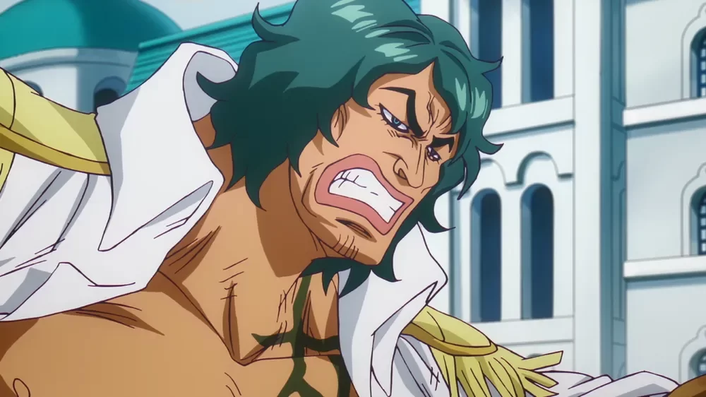 아라마키 원피스 애니메이션 일본 One Piece