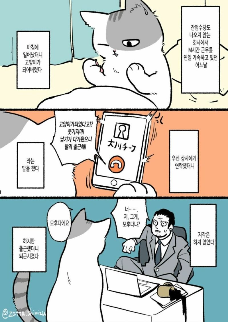 고양이가 되어도 출근해야 하는 K-직장인