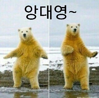 앙대영 북극곰 안돼 동물