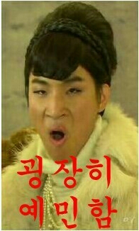 예민 대성 도도 예민함