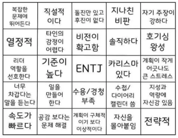 ENTJ MBTI 빙고 성격 특징 리더 열정 카리스마 공감 팩폭