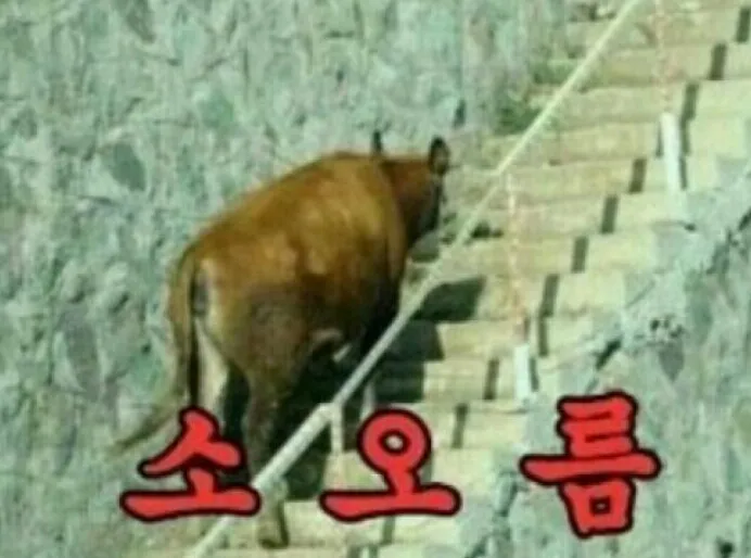 소 오름 소름