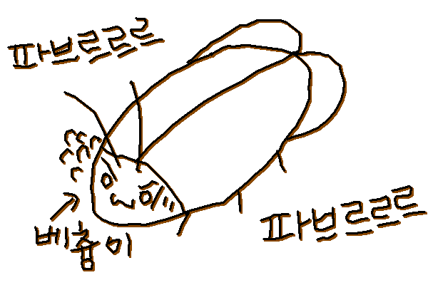 박멸 벌레 파브르르르 베츙이 떨고있는