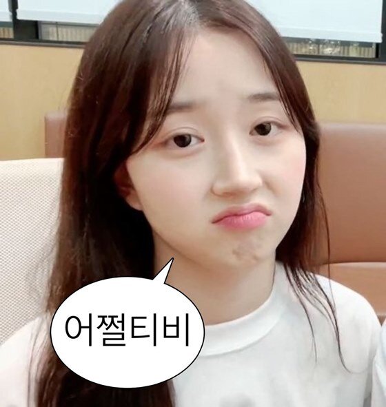어쩔티비 오해원