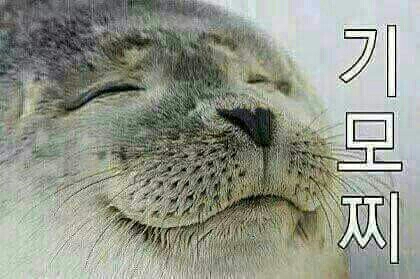 감사 고마워 ㄱㅅ 기모찌 감사합니다