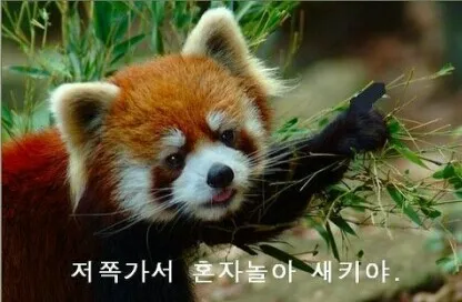 저쪽가서 혼자놀아 새키야