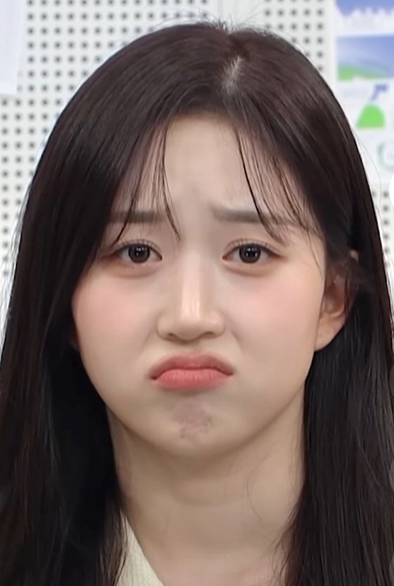 슬픈곰 오해원
