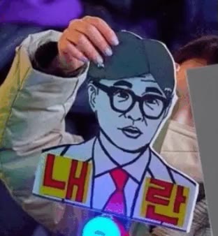 한가발 한동훈 가발 뚜껑 내란 정치 풍자 대머리
