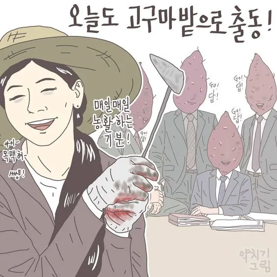 고구마