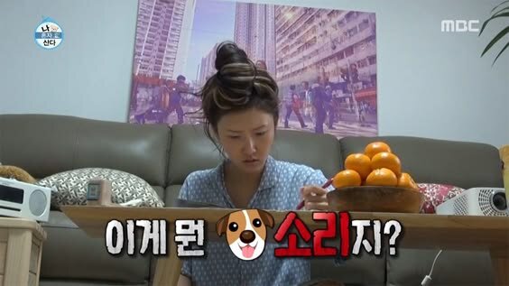 이게 뭔 개소리지