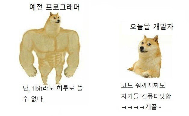 예전 프로그래머 현재 프로그래머 개발자 개발자짤 개발자밈 프로그래밍 프로그래머