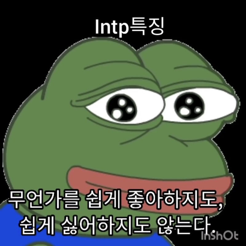 INTP MBTI 인팁 특징 페페 개구리 무심 담담 공감 짤