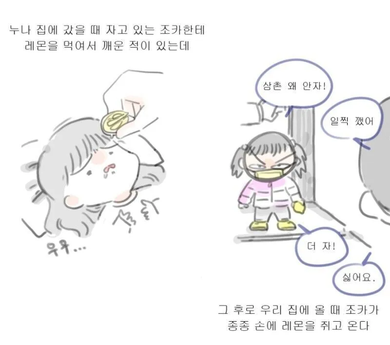 조카 레몬 삼촌