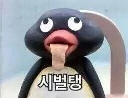 메롱 욕짤 핑구 시벌탱 분노 짜증 펭귄 웃긴짤 킹받음