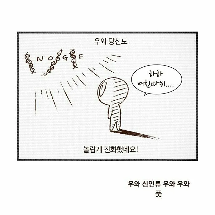 진화 혼자 솔로 모쏠