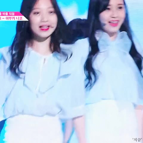 얍 야부키나코 아이즈원 깜찍 프로듀스