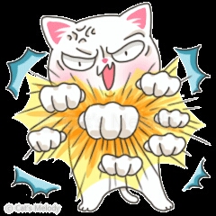 고양이 폭력 냥이