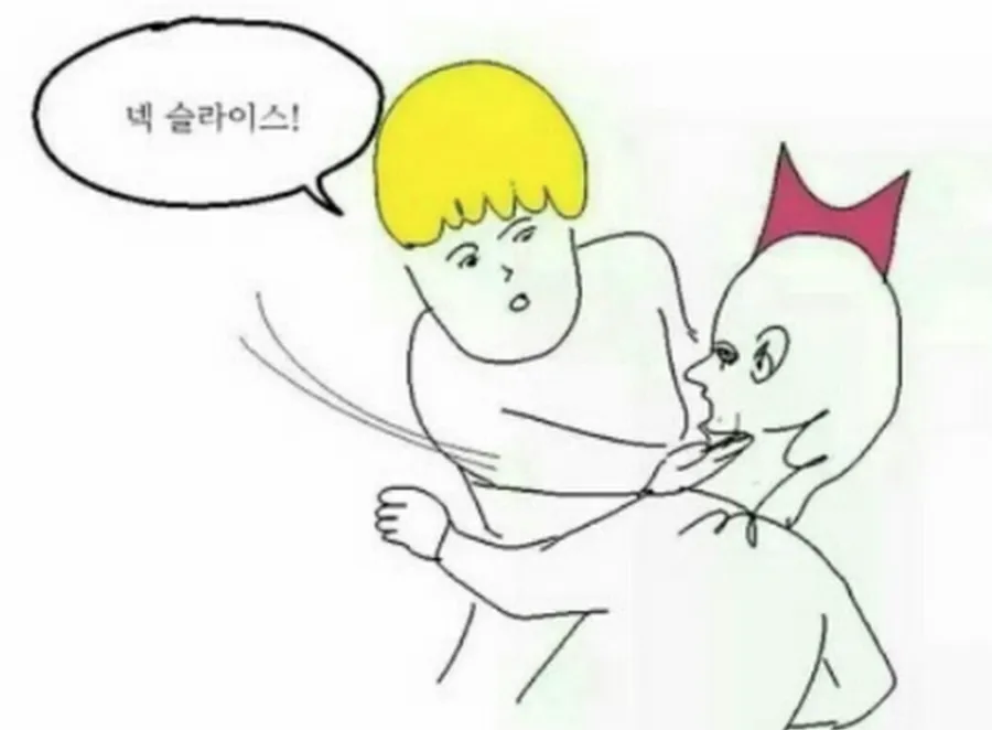 넥슬라이스 가격 목가격 찌르기