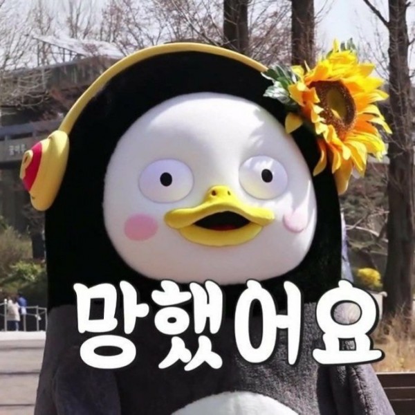 펭망 펭수 망했다 망했어요 좌절 충격 당황 해바라기 포기 절망 짤