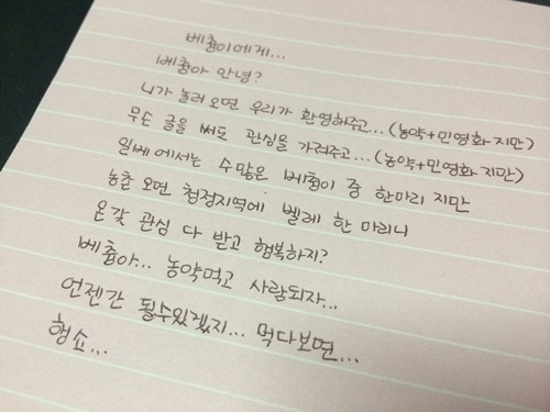 박멸 벌레 베충이에게 편지 베츙아 안녕
