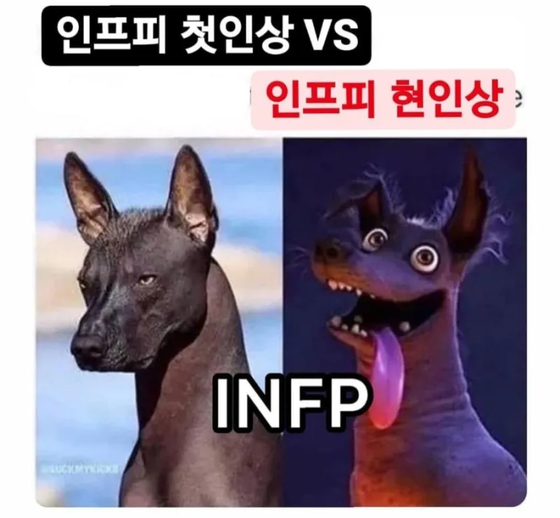 INFP #MBTI 인프피 MBTI 첫인상 현인상 반전 코코 단테 댕청미 웃긴