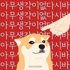 아무생각이 시바