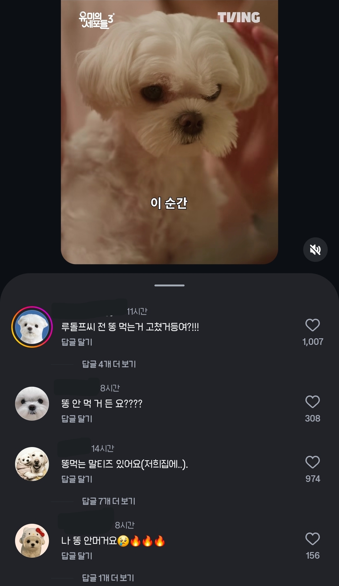명예훼손에 분노한 전국 말티즈 연합