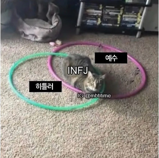 INFJ #MBTI 성격 유형 취향 mbti짤 mbti짤방 mbti타입