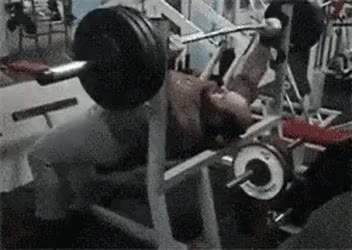 헬스장에서 트레이너 부르는 법.gif 헬스장 트레이너 벤치프레스