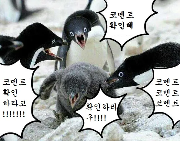 코멘트 확인 짤