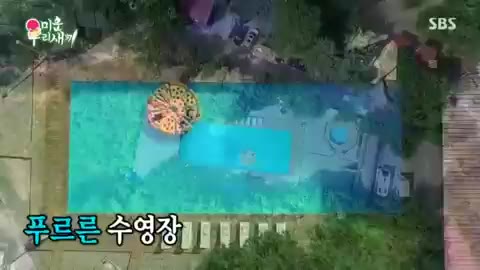 피자한판 피자 수영장 예능 튜브 여름 미운우리새끼