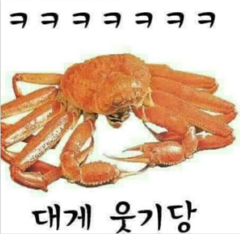 대게 대게 웃기당 ㅋㅋ 웃김