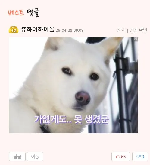 가엾게도 못생겼군 백구 반응