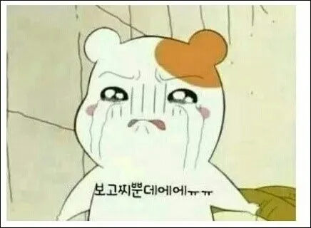 그리움 보고싶음 보고찌뿐데 보고싶어