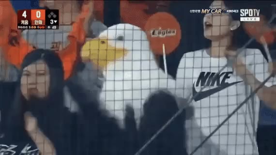 오늘의짤방
