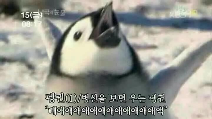 병신알림벨