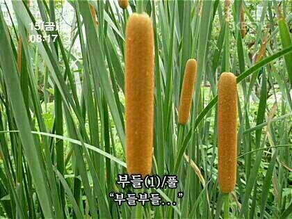 ㅂㄷ ㅂㄷㅂㄷ 화남