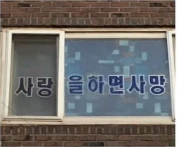 사랑을 하면 사망 모쏠 솔로 연애