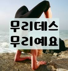 무리 무리데스 무리예요 요가 포기 불가능 힘들다 거절 안돼 못해