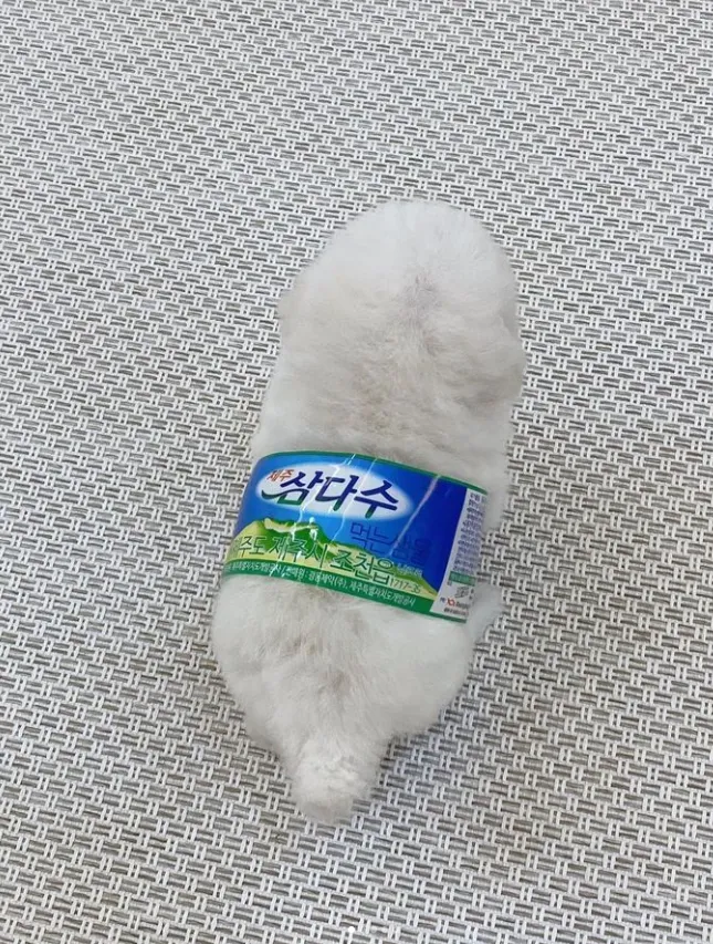 멍짤