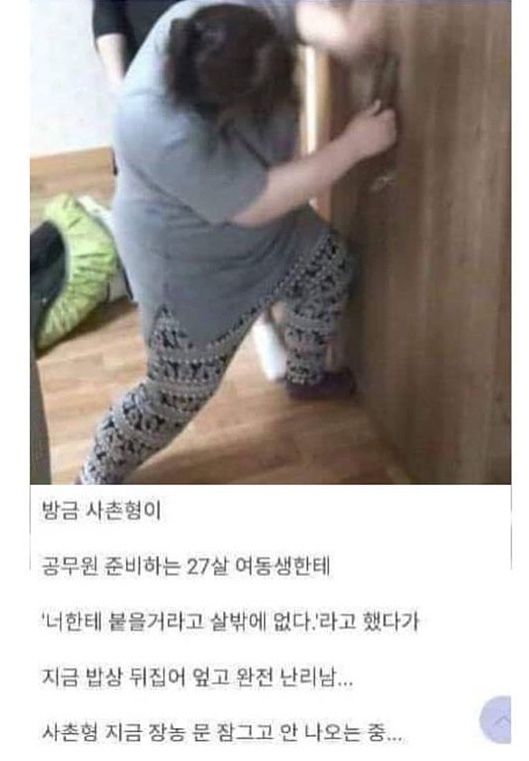 명절 패드립 사촌형 공무원 준비 여동생 너한테 붙을거라고는 살밖에 없다 난리 문 잠그고 도주