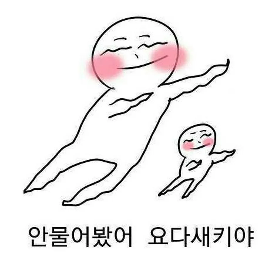 안물어봄 요다 안물안궁
