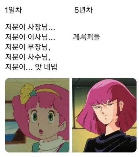 회사 회사원 저분이 사장님 이사님 부장님 사수님 개새끼들 직장인 상사 직장