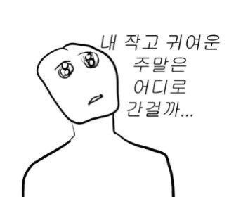 주말 순삭 어디로 월요병 일요일 슬픔 눈물 현타 내작귀 짤